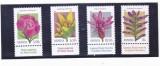 ROMANIA 2022- PLANTE ENDEMICE DIN CARPATI, VINIETA 1 - LP 2382, Flora, Nestampilat