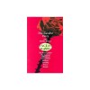 The Garden Party: And Other Plays