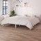 Gossi cadru de pat, alb, 200x200 cm, lemn masiv de pin