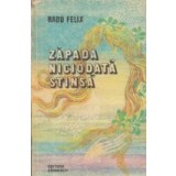 Zapada niciodata stinsa