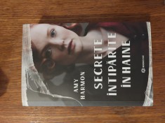 Secrete intiparite in haine - Amy Harmon foto