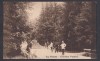 Carte Postala - Romania Targu Neamt - Gradina Publica, Necirculata, Fotografie, Botosani