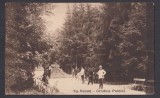 Carte Postala - Romania Targu Neamt - Gradina Publica