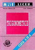 TRIGONOMETRIE. CLASA A IX-A-PETRE NACHILA, ION CHESCA-337806