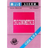 TRIGONOMETRIE. CLASA A IX-A-PETRE NACHILA, ION CHESCA-337806