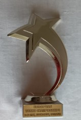 C14 10 - Trofeu competitie arte martiale - Wushu