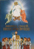 Drumul Crucii, Urcuș spre &Icirc;nviere - Corneliu Muha, Editura Sf. Mina, Coperta Cartonată, Carte Povesti Copii