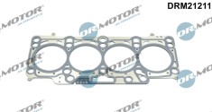 Garnitura, Chiulasa 289658 DRM21211