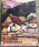 LITR14 0442 Literatura - Daniel Izverniceanu - In codrii Bosneagului