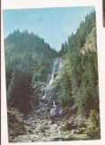 RF167 - Carte Postala - Muntii Rodnei. Cascada Izvorul Cailor, necirculata 1991