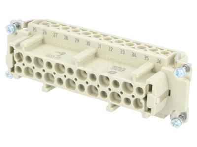 Conector HDC Han E 24 Mamă 24 PE foto