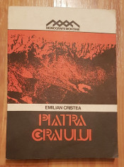 Piatra Craiului de Emilian Cristea Monografii Montane + harta foto