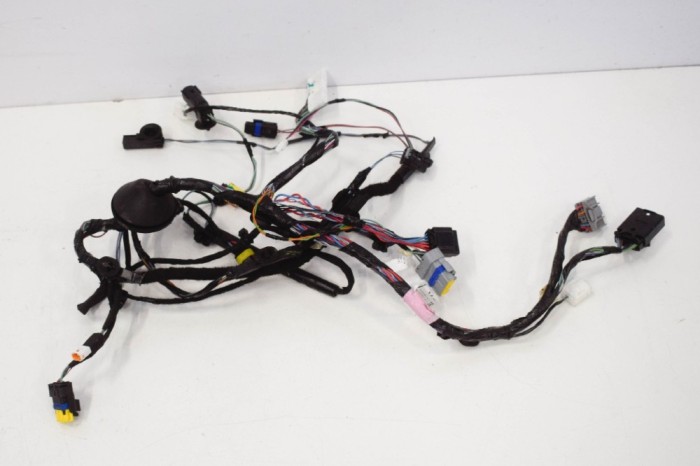 Cablaj ușă dreapta spate TESLA MODEL X 2016 OEM: 1032442-90-G 11137186