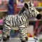 Jucarie Zebra de plus 23cm nat geo