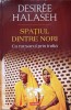Spatiul dintre nori. Cu rucsacul prin India - Desiree Halaseh, Polirom, 2016, Carte de calatorie, Hexagon. Limba romana