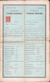 A3345N Certificat absolvire Gimnaziul Rom&acirc;nesc din Brașov Romulus Mioc (primar Petroșani, prefect județ Hunedoara) 1904 semnat olograf Ioan Mețianu