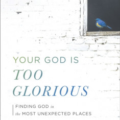 Your God Is Too Glorious: Finding God in the Most Unexpected Places