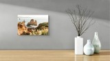 Tablou Canvas, "St&acirc;ncile răsunătoare ale oceanului liniștit", Cliffuri, Ocean, St&acirc;nci, Apus, Vegetație, Cer, Peisaj, Natură, Valuri, Puncte, Relaxare,