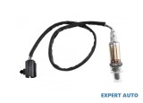 Sonda landa Chrysler Voyager 4 (2000-2008) [RG] #1