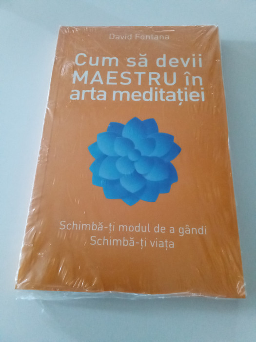 CUM SĂ DEVII MAESTRU &Icirc;N ARTA MEDITAȚIEI - DAVID FONTANA