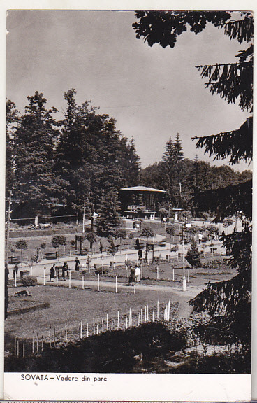 bnk cp Sovata - Vedere din parc- circulata