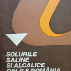 Gh. Sandu - Solurile saline si alcalice din R. S. Romania - Ameliorarea lor (1984)