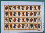 |Romania, LP 1694/2005, Caini de vanatoare, coala de 6 serii, MNH