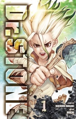 Dr. Stone, Vol. 1 foto