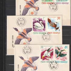 RO - FDC - ANIMALE OCROTITE IN ROMANIA ( LP 932 ) 1977 ( 3 DIN 3 )