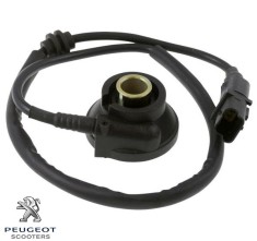 Cablu km cu demultiplicator (cu melc) original Peugeot Elystar - Elystar Advantage 50-125-150cc foto