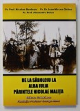 DE LA SABOLCIU LA ALBA IULIA , PARINTELE NICOLAE MALITA de NICOLAE BORDASIU ...ALEXANDRU DULCA , 2018