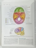 CLINICALLY ORIENTED ANATOMY by KEITH L. MOORE ... ANNE M. R. AGUR , 2010