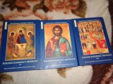 Teologia dogmatica ortodoxa - Dumitru Staniloae / 3 volume , an 2003