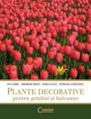 Plante decorative pentru gradini ?i balcoane foto