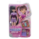 BARBIE DREAM BESTIES PAPUSA RENEE CU ACCESORII, Mattel