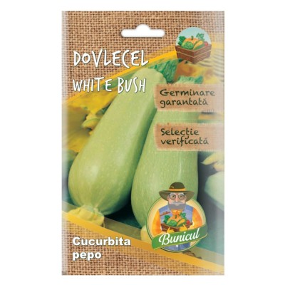 Seminte legume Micul Gradinar, dovlecel White Bush foto
