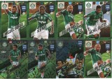 Carti cu fotbalisti - Palmeiras