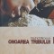 ONOAREA TRIBULUI-RACHID MIMOUNI-243383