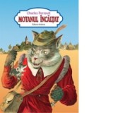 Motanul incaltat (carte color, format A4, capsata) - Charles Perrault
