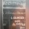PAGINI DE ESTETICA-G. CALINESCU BUCURESTI 1990