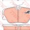 Set placute frana,frana disc MERCEDES E-CLASS Cupe (C124) (1993 - 1997) TRW GDB818