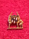 Insigna Sport - UNIUNEA ATLETILOR AMATORI din SUA (USA)