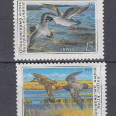 URSS RUSIA 1990 FAUNA RATE SI GASTE SERIE MNH