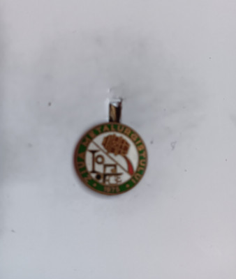 QW9 K 16 - Insigna - tematica industrie - Ziua metalurgistului - 1975 foto
