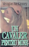 Meagan McKinney - Un cavaler pentru mine