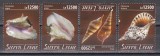 Sierra Leone 2020 - Viața marină - Scoici, MNH