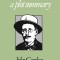 Finnegans Wake: A Plot Summary