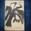 DOUA CAPITELE - NIKOLAI RAVICI - Roman Beletristica