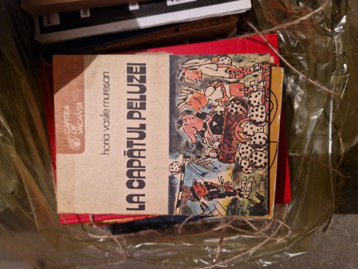 La capătul peluzei vintage
