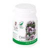 Cimbrisor 60 capsule Medica, Medica Farmimpex